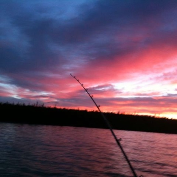 Meet your Posher, Chris - Picture 1 of 1